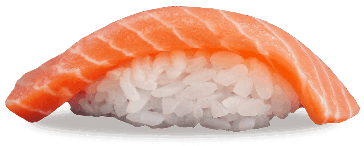 Salmon nigiri close up